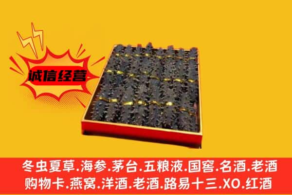 常德市安乡回收海参